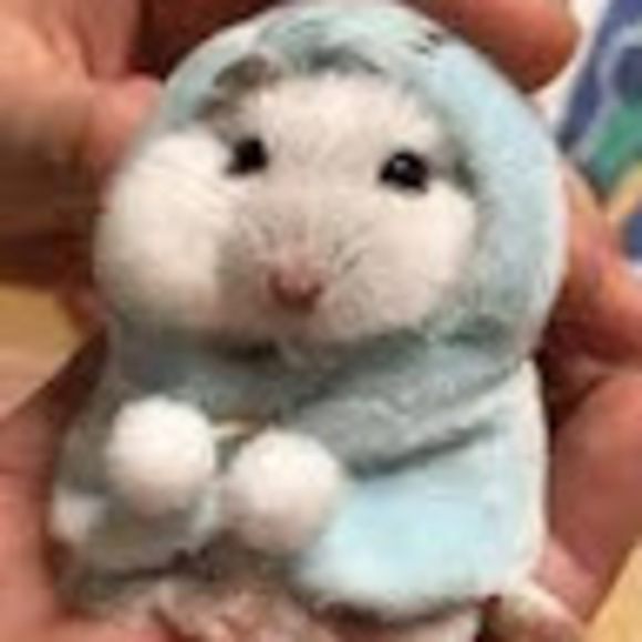 Meet your Posher, Michelle - Picture 1 of 1